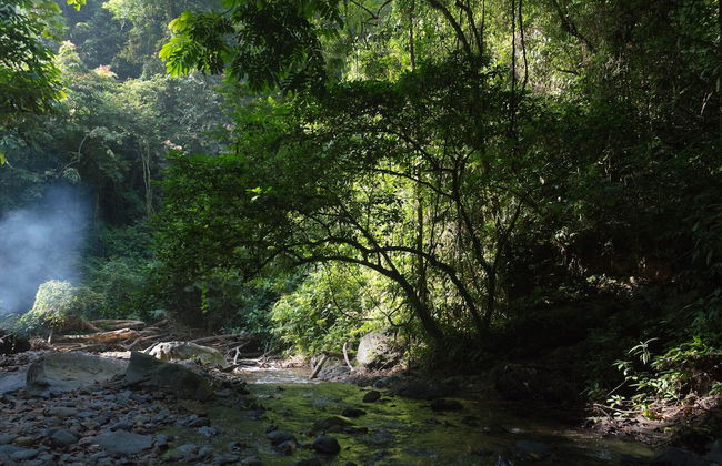 Room in Lodge - Holiday Rental in Sumatra - Photo 5