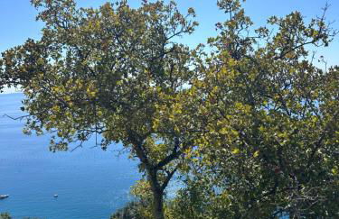 Greif Boutique Juna - Foto 61