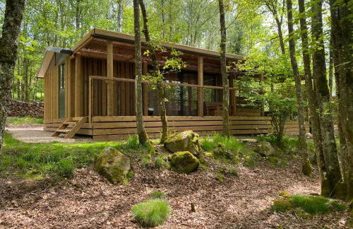 Vosges Hygge - Chalets Lodges & Spa - Foto 15