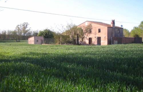 Can Jep Llarg Casa Rural - Foto 49