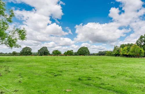 3 Bed in York oc-89538 - Photo 40