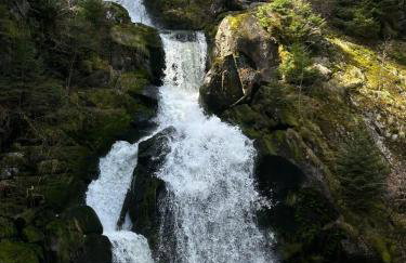 2 Zimmer Wohnung, mit Sonnenterasse - Foto 19