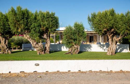 Glaros Kouremenos - Photo 57