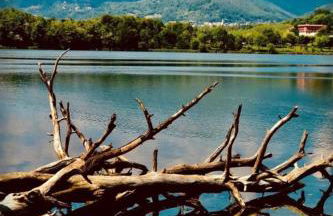 Casa FATA MELANIA-free parking-self check in - Foto 22