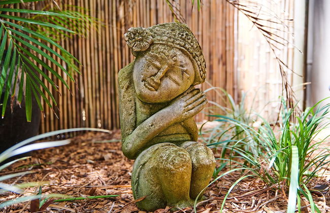 Julians Apartments - Photo 41