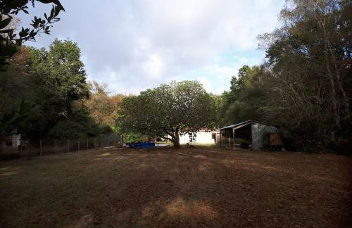 Maison au calme sur grand terrain avec piscine - Foto 18