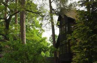 Leśny kasztel pod sosnami. Pokój w koronach drzew. - Foto 19