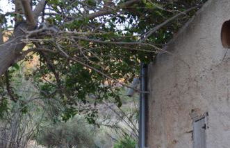 White Lotus seaside apartment - Photo 36