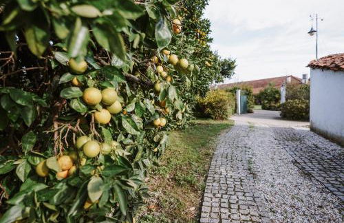 Casa Rural Oliveira do Bairro - Foto 5