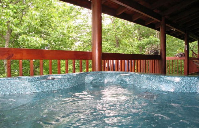 Alpine Ski Lodge - Foto 3