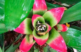 Chácara das Flores - Foto 17