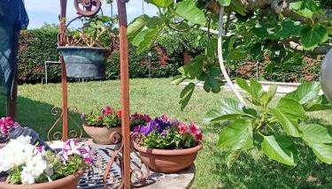 Villa Antonina 2 - Foto 2