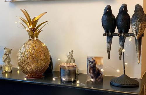 Grand Appartement Haussmanien de Standing avec Jacuzzi Terrasse et Parking en Hyper Centre - Foto 13