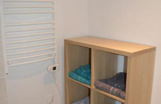 Juste un rayon de soleil Maison 6 personnes Alsace Centrale Proche Europa-park - Foto 30