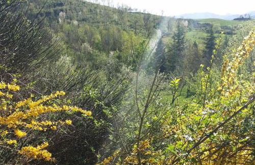 Casa Ridapio: Trail & Relax - Foto 24