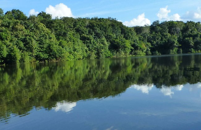 Tour di 2 giorni nella foresta amazzonica - Foto 1