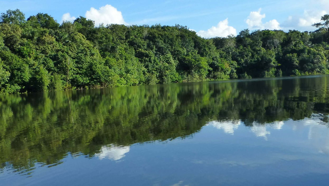 Tour di 2 giorni nella foresta amazzonica