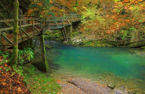Tranquil Holiday Home in Kvarner near Kupa River - Foto 64