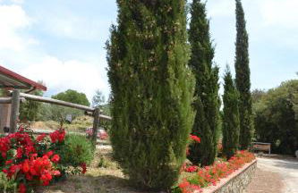 Agriturismo La Ghiraia - Foto 45