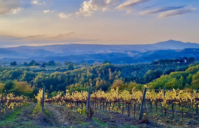 Stylish Umbrian Apartment Garden Pool nr Orvieto - Foto 19