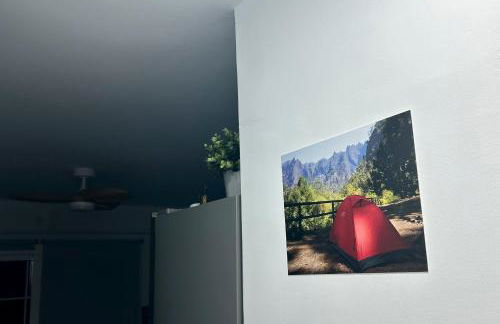 Salitre Tea - Foto 21