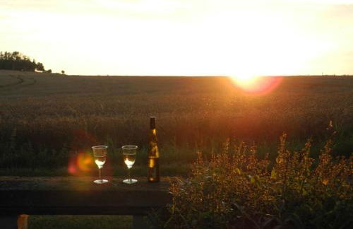 Alte Scheune Rietzschelhof mit Pool - Foto 27