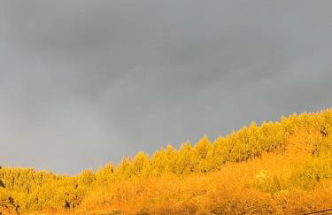 APARTAMENTO con Jardín en Bádames - Foto 7