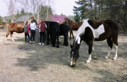 -Waldhaus-Fewo 4 - Foto 12