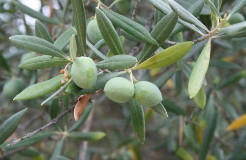 Casa Cristina - Foto 27