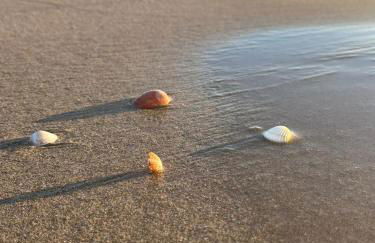 MER DELUXE - DREAMY BOHO RETREAT - Foto 38