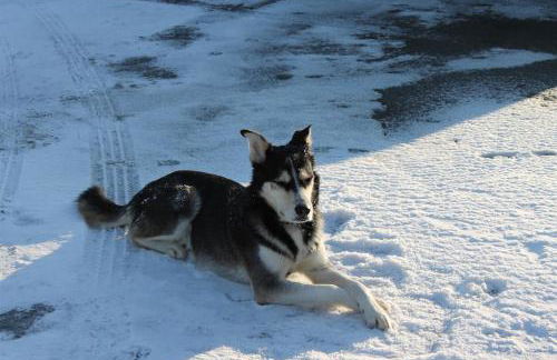 Ferienhof am Deich - Foto 28