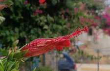 Seaside Apartment 2 - Photo 2