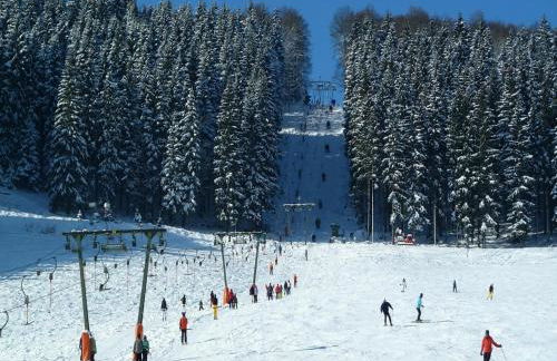 Chalet in Schmallenberg Nahe Winterberg Ski - Foto 28