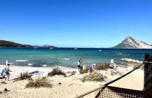 Villa Alzoni - Foto 38