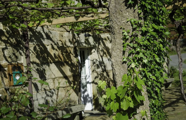 Casa de Turismo Rural Os Petroglifos - Photo 41