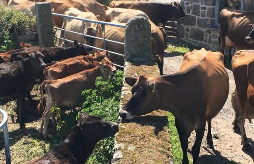 Trengothal Barn - Photo 23