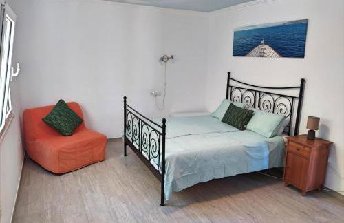 Villa Carioca - with private pool, marvelous garden and amazing ocean view - Foto 24