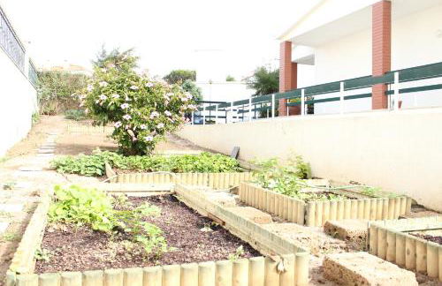 Canas Beach House - AL - Foto 17