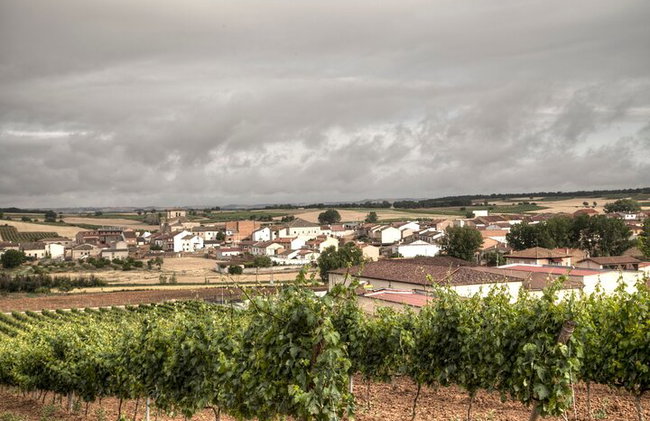 Wein- und Naturreise durch Ribera del Duero und La Rioja ab Madrid - Foto 2