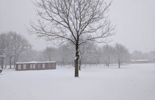 Countryside Cabin on 5 Acres Countryside with Outdoor Firepit, Cinema and converted Stables - Foto 50
