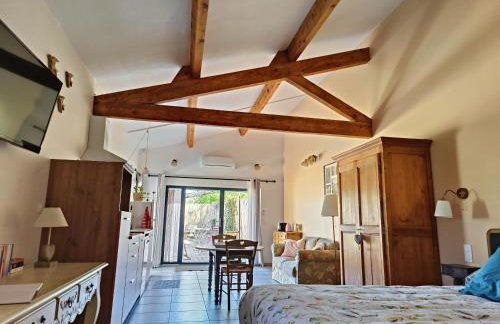 Grand studio et jacuzzi extérieur - Foto 11