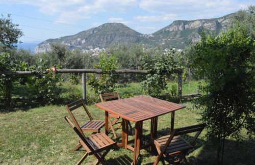 Agriturismo L'Olivara - Foto 38