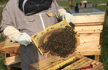 Whittlewood Shepherd's Hut in Silverstone, Cosy, Rural, Views - Photo 24