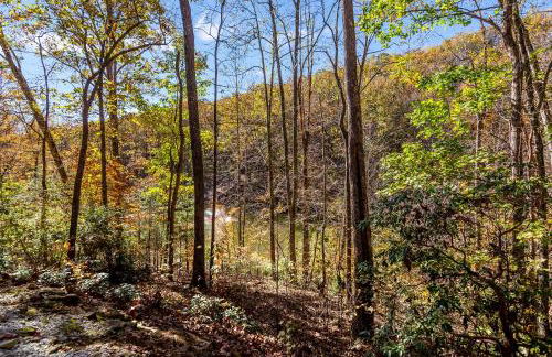 Log Cabin, Lake, Hot Tub, Near Wineries & Hiking - Foto 41