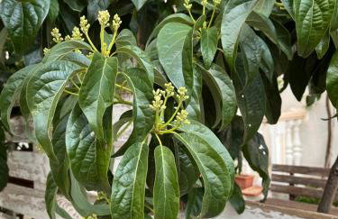 Apartments Petra - Photo 72