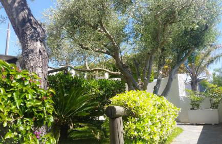 Appartamenti Luongo - Foto 65