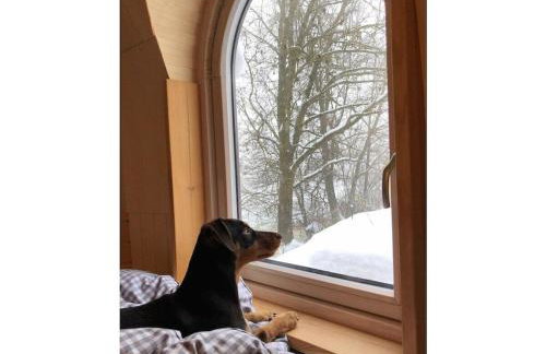 Tiny House Alpenpanorama Chalet Igluhut - Foto 30