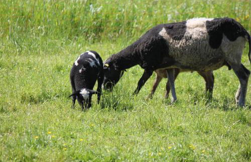 Thallerhof - Foto 23