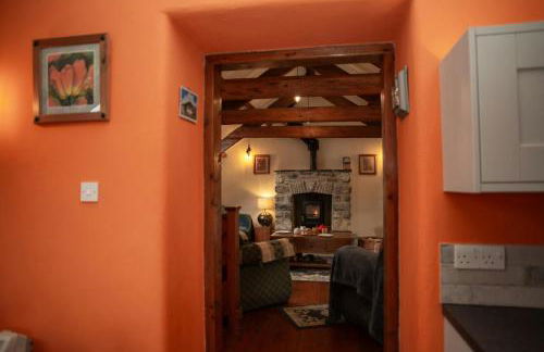 Ty Moch Bach Fishguard - Foto 12