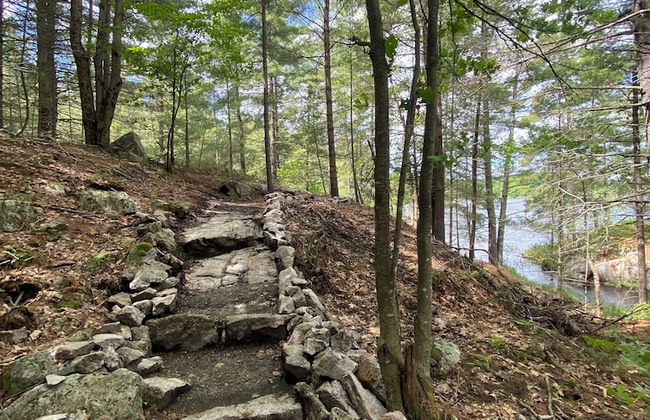 Pine Brae Eco-Resort - Photo 25